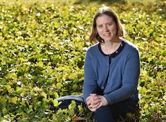 VancouverCourierPhotoSmall